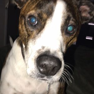 Meet your Posher, Keli